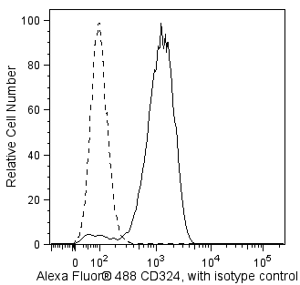 CD324_A488_TDS_Figure.png